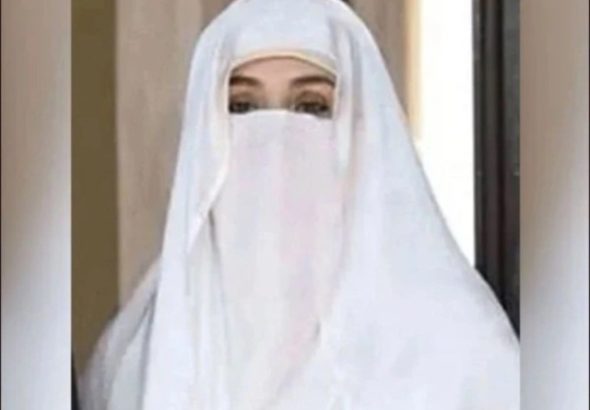 bushrabibi