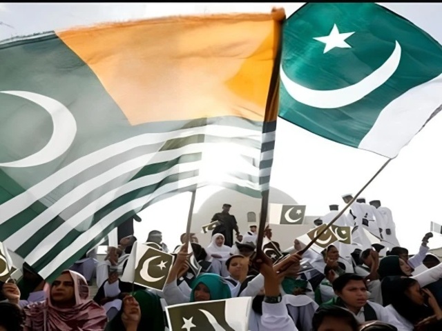 kashmir exploitation day